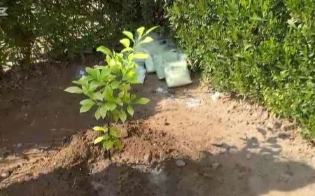 بۆ یەکەم جار مادەیەک لە هەرێمی کوردستان بۆ کەمکردنەوەی بەکارهێنانی ئاو لە کشتوکاڵدا تاقیدەکرێتەوە