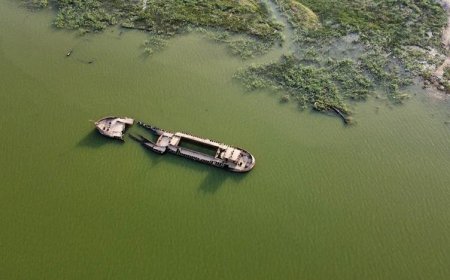 گۆڕانى کەشوهەوا لە عێراق؛ 30%ى گامێشەکان و 95%ى ماسیی زۆنگاوەکان لەنێوچوون