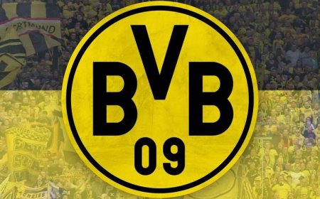 بۆرووسیا دۆرتموند خۆشحاڵن بە کاردانەوەی هاندەران لە کوردستان