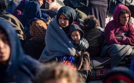 ئەنەکەسە لە عەفرین: دوای رێککەوتنەکەی دیمەشق گەڕانەوەی کورد و دەرچوونی عەرەب زۆر زیادیکردووە