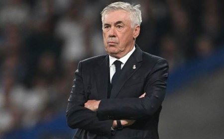 بەرازیلییەکان بۆ ئەنچێلۆتی هاتوونەتەوە سەر هێڵ