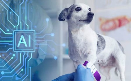 کۆمپانیایەکی چینی دەیەوێت ژیریی دەستکرد بۆ تێگەیشتن لە زمانی گیانەوەران بەکاربێنێت