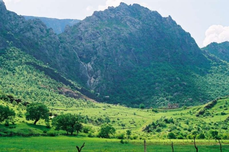 ڕۆژی جیهانیی تەندروستیی ڕووەک: بانگەوازێک بۆ پاراستنی ژیان لە سایەی گۆڕانی کەشوهەوادا