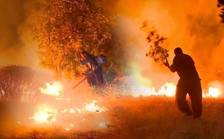 'زیاتر لە 250 دۆنم زەویی قەرەداخ سووتا'؛ گومان دەکرێت گەشتیار هۆکاری کەوتنەوەی ئاگرەکە بووبێت