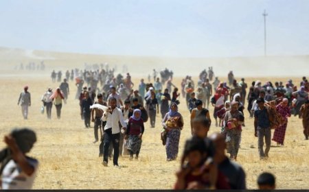 Amerîka, Almanya û Neteweyên Yekbûyî dixwazin Peymana Şingalê were bicihanîn