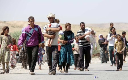 نووسینگەی رزگارکردنی رفێندراوانی دەستی داعش: تائێستا 3575 کوردی ئێزدی رزگارکراون