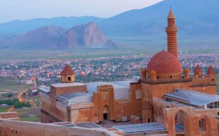 Gelê Bazîdê: Bila dewlet ziman û nasnameya me qebûl bike