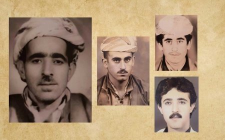 Ciwanek bi awayekî ecêb tola bav û birayên xwe hildide