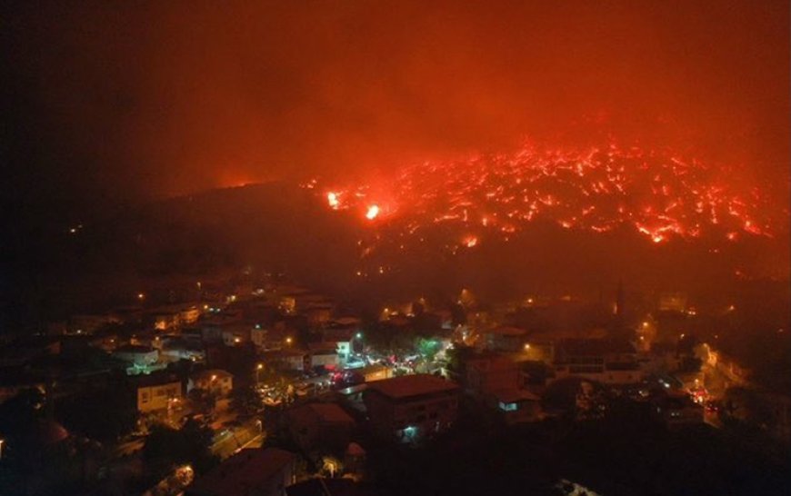 پێنج رۆژە دارستانەکانی بورسەی تورکیا دەسووتێن