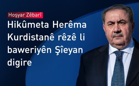 Hoşyar Zêbarî: Hikûmeta Herêma Kurdistanê hemî hêsankarî bo seredankerên Şîe kirine