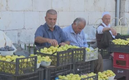 Li Akrê bazara hêjîran germ e