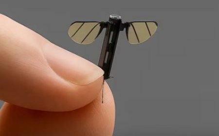 Biçûktirîn Drona sîxûriyê