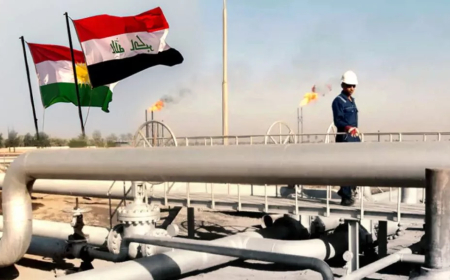 Me bi Bexda re li ser mekanîzma henardeya neftê li hev kir