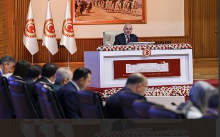 لیژنەی پڕۆسەی چارەسەریی پەرلەمانی تورکیا: گوێ لە دایکانی ئاشتی دەگیرێ