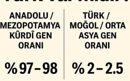 Li gor lêkolînên zanistî bi (DNA) % 2 ji xelkê Tirkiyê Tirkin