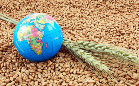 Girîngiya Pîşesaziya Xwarinê li Herêma Kurdistanê