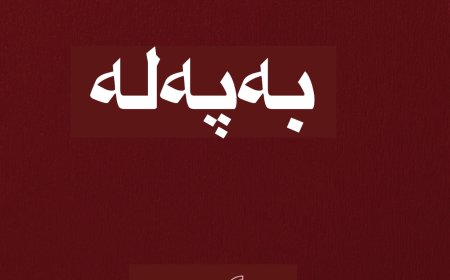 عەلی دۆڵەمەری: ماکرۆن کۆتایی ئەم مانگە سەردانی هەولێر و بەغدا دەکات
