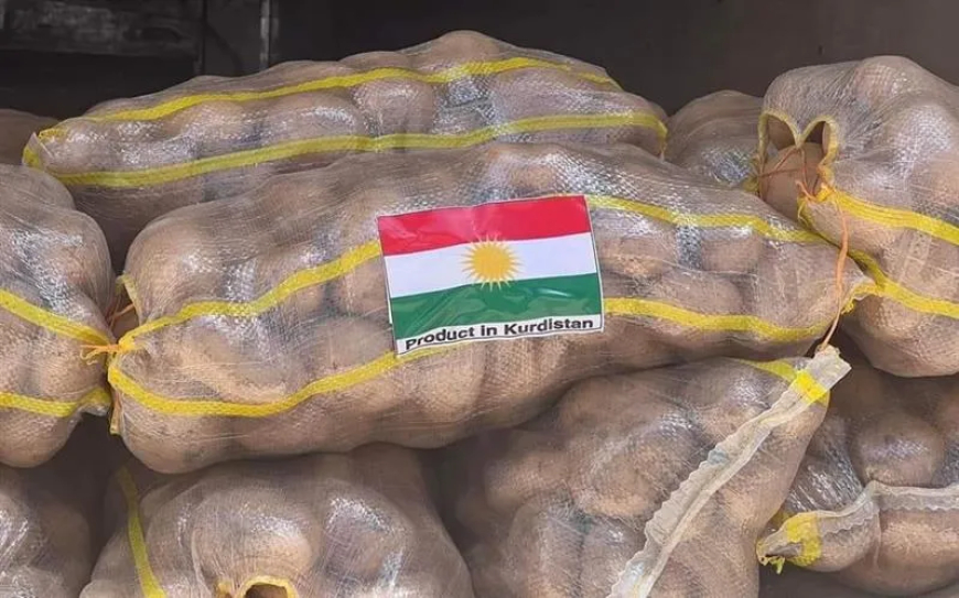 Patata û Kartolên Qaçax Bandorê li ser Bazara Kartolên Kurdistanê Kiriye