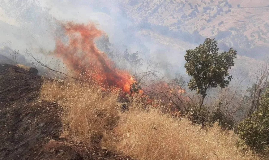 Temirandina agirê daristanên Helepçeyê berdewame