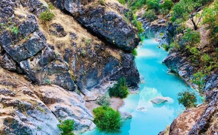 Geliyê Şêrane Bi Hezaran Geştiyaran Radikêşe