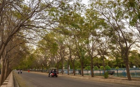 پارێزگاری هەولێر: ئەم ساڵ پێنج پارک تەواو دەبن