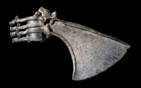 Bivir a Kurdistanê, li Britanya, temenê wê zêdetirî 3.000 salî ye