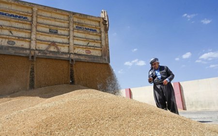 یەکێتیی جووتیاران: هەر جووتیارێک لە پلانی کشتوکاڵدا خۆی تۆمار نەکات ساڵی داهاتوو گەنمەکەی وەرناگیرێت