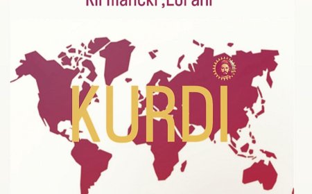 Divê Diyasporaya Kurdistanî Têkiliyên Xurt Bi Diyasporayên Cîhanî re Ava Bike