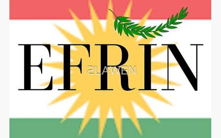Tirkiye Ji Efrîna Rojavayê Kurdistanê Vedikişe