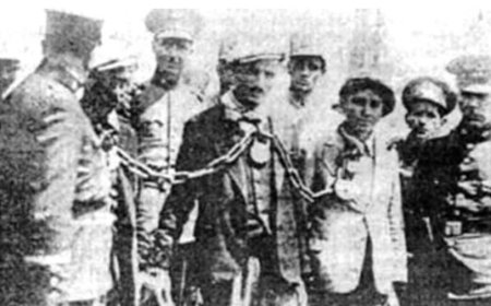 Xwîna li ser Pelên Gûzê