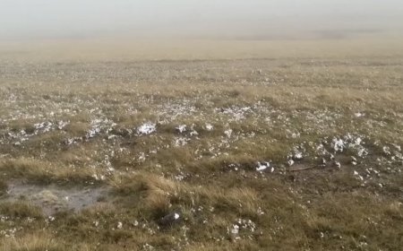 لە بەرزاییەکانی ئەردەخان لە باکووری کوردستان بەفر باری