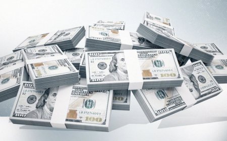 پاشاکانی دۆلار؛ کێ خاوەنی گەورەترین یەدەگی دراوی ئەمریکییە لە جیهاندا؟