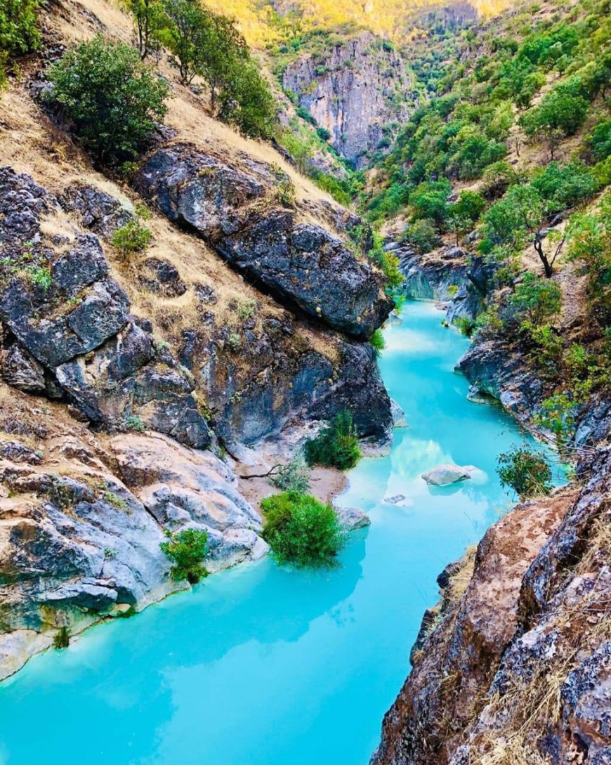 Geliyê Şêrane Bi Hezaran Geştiyaran Radikêşe