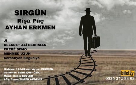 Şanoya SIRGÛN / Rîşa Pûç a Ayhan Erkmen Ber Bi Bajaran Vê Diçe