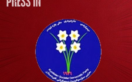 سۆسیالیست: بچینە پەرلەمانی عێراق بە کوردی قسە دەکەین