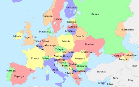 Necat Zivingî: Çima Ewropa Tirkiyeyê li ser Piyan Dihêle?