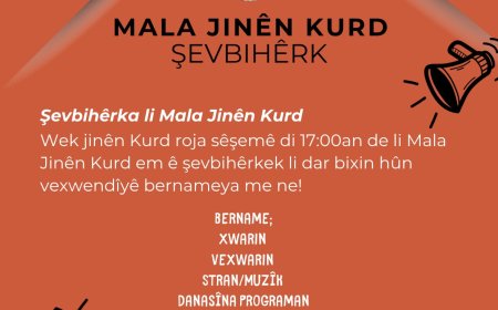 Mala Jinên Kurd Şevbihêrka Taybet Lidar Dixe