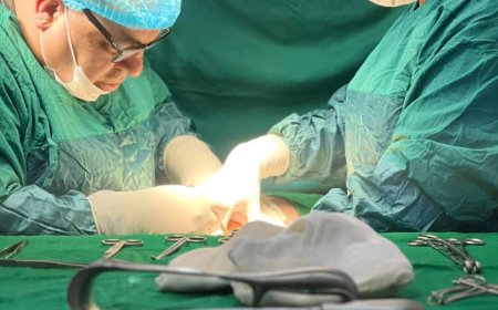 Li Kobanê Di Warê Tendirûstiyê De Serkeftineke Mezin Hate Tomarkirin