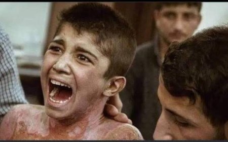 Li Serê Kaniyê Bîranîn Zindî, Daxwaza Vegerê Zelal e