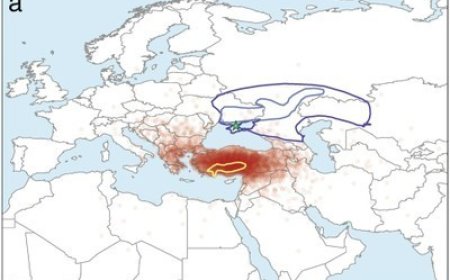 Çawa Ziman ji Kurdistanê Derbasî Gelên Pehlevîaxêv (Îndo-Ewropî) Bû?