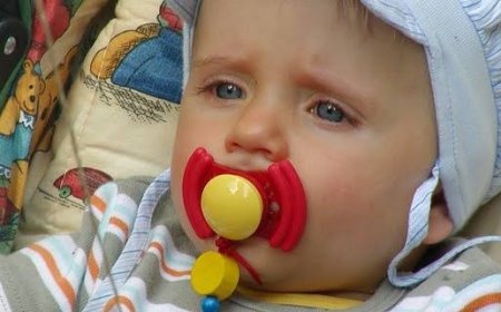 رێکخراوێک: چەند جۆرێکی مەمەی وشکی منداڵان مادەی مەترسیداریان تێدایە، 'گەشە تێکدەدات'