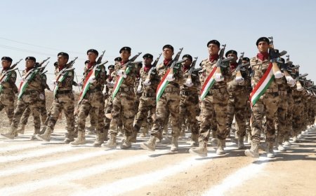 بەشێکی زۆری حیزبەکان لە کارنامەکەیاندا دەڵێن، کار دەکەن بۆ دابینکردنی مافەکانی پێشمەرگە لە عێراق