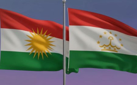 Kampanyaya Emojîya Ala Kurdistanê Zirareke Mezin da