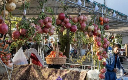 فێستیڤاڵی هەنار و پاییزی هەڵەبجە دەستیپێکرد؛ 'پێشبینی هاتنی زیاتر لە 300 هەزار میوان دەکەین'