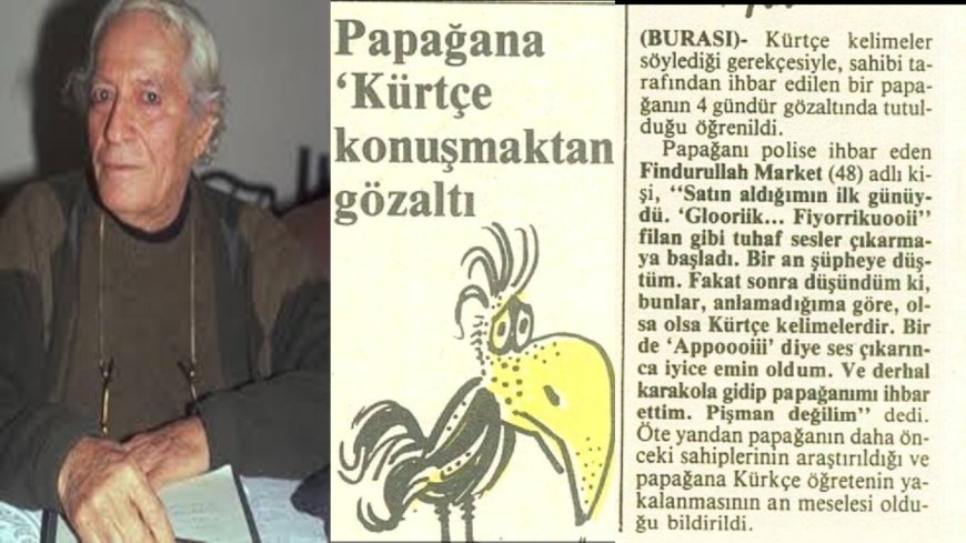 Zordariya Li Ser Zimanê Kurdî