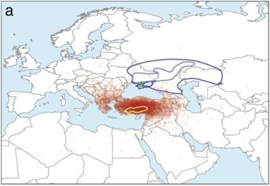 Çawa Ziman ji Kurdistanê Derbasî Gelên Pehlevîaxêv (Îndo-Ewropî) Bû?