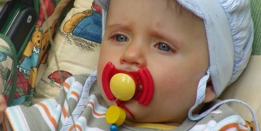 رێکخراوێک: چەند جۆرێکی مەمەی وشکی منداڵان مادەی مەترسیداریان تێدایە، 'گەشە تێکدەدات'