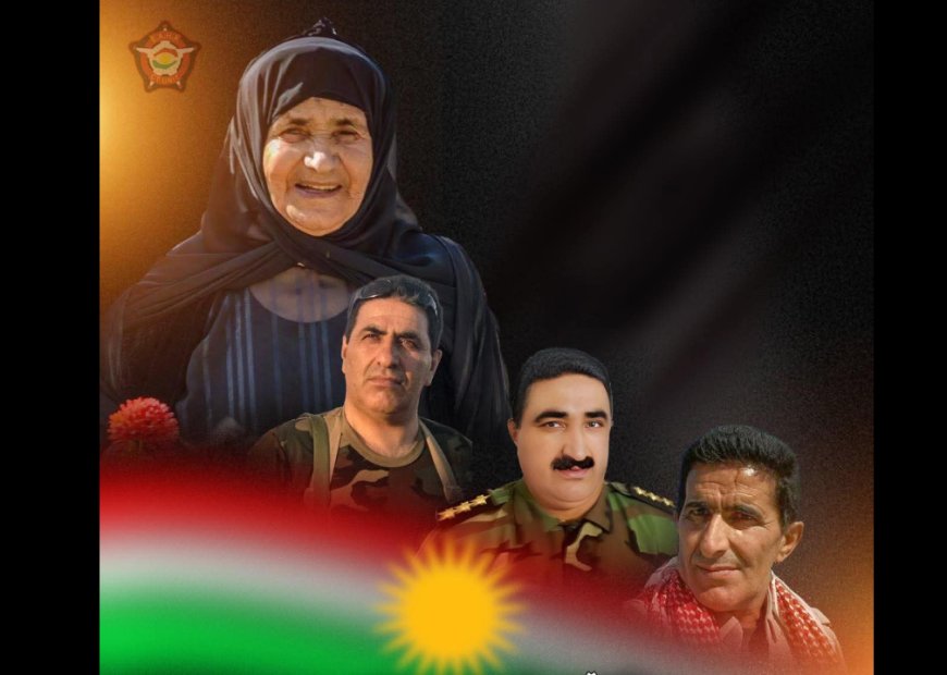 Salvegera 3 Birayên Ku Mil Bi Mil li Zummarê Şehîd Bûn