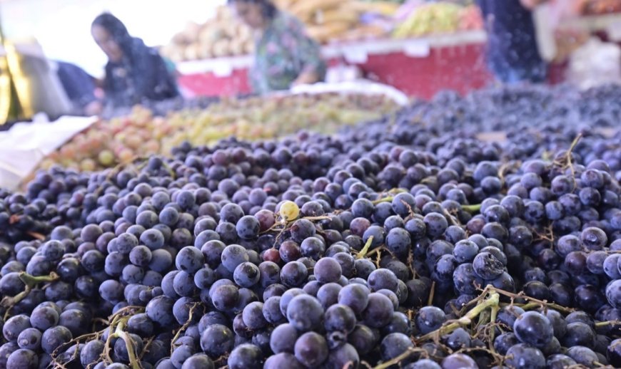 کشتوکاڵی دهۆک: پێشبینیی نزیکەی 60 هەزار تۆن بەرهەمی ترێ دەکەین