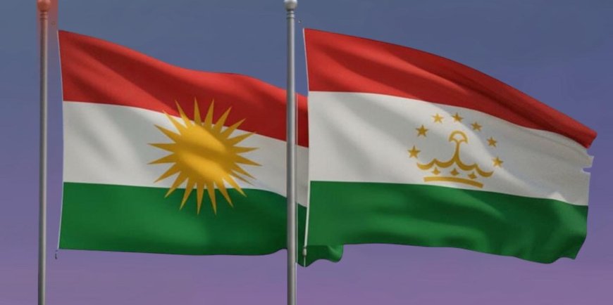 Kampanyaya Emojîya Ala Kurdistanê Zirareke Mezin da